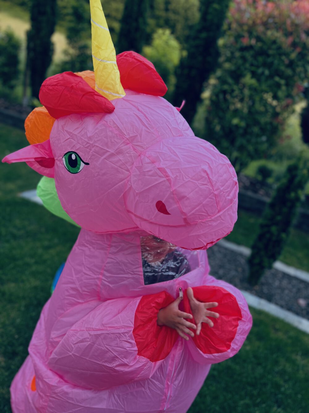 Kostüm "Einhorn"