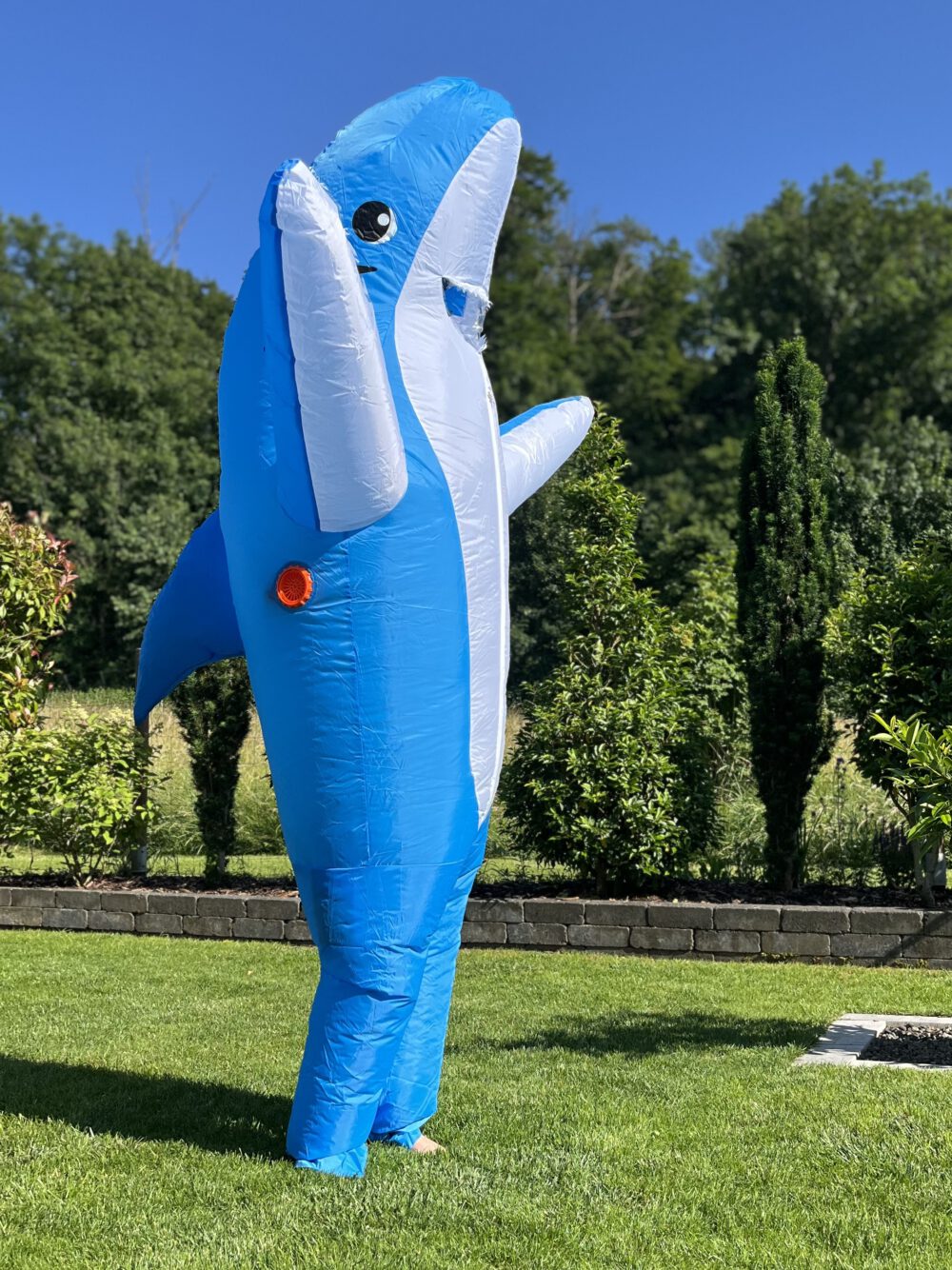 Kostüm "Hai" – Bild 4