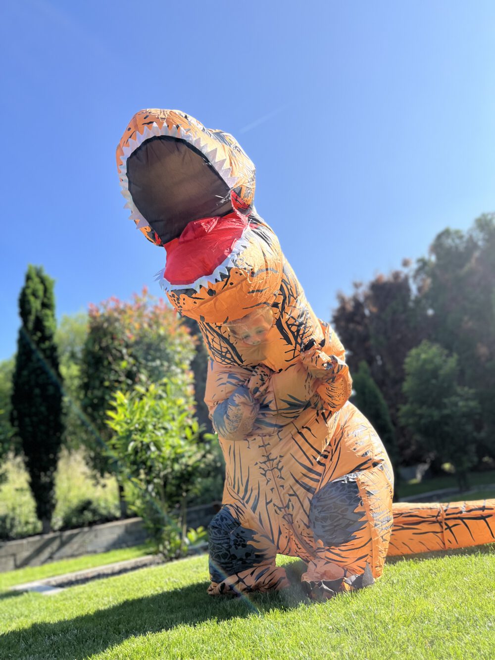 Kostüm "Dino" – Bild 2