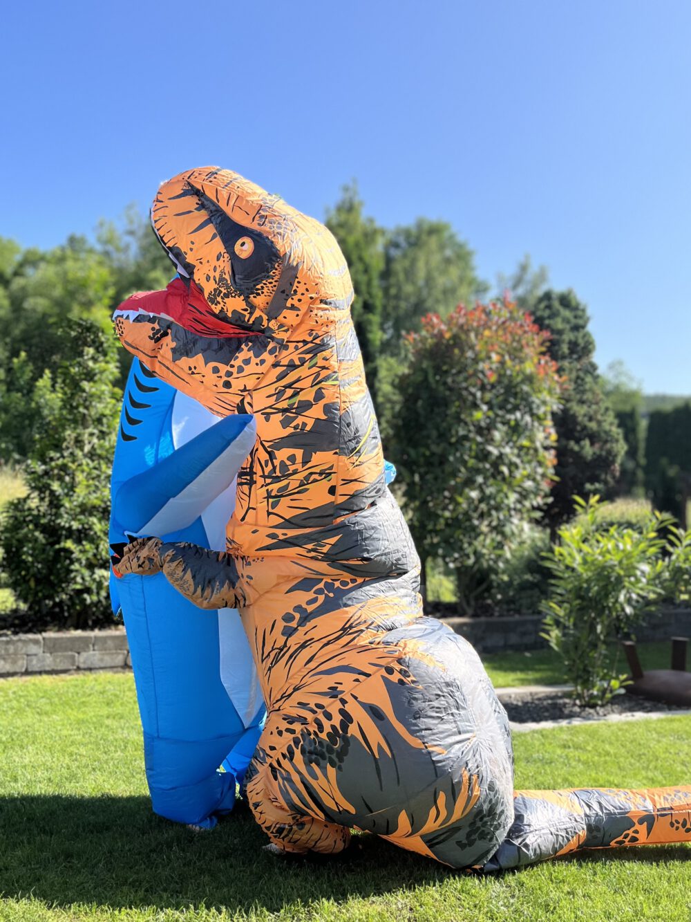 Kostüm "Dino" – Bild 4