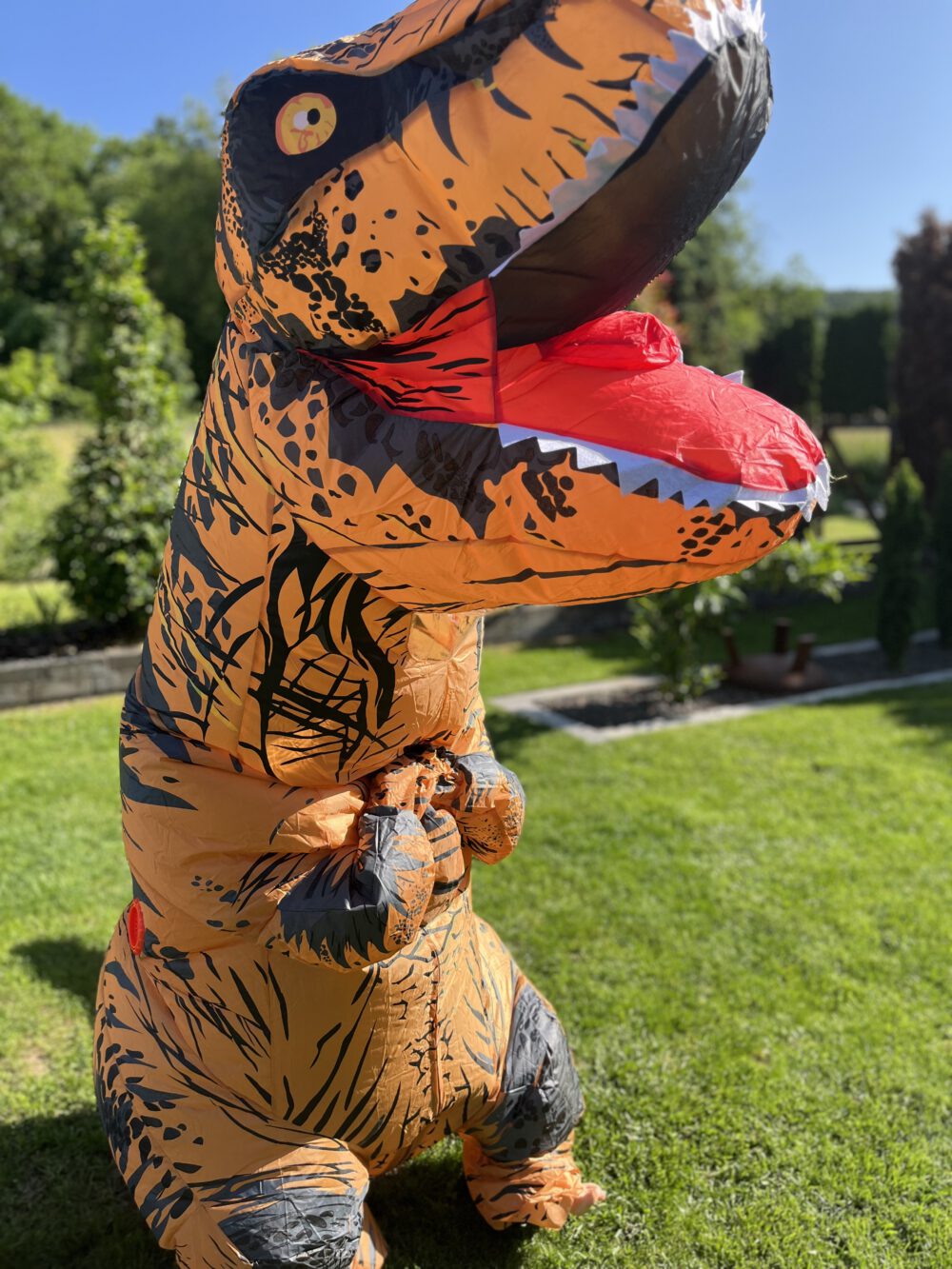 Kostüm "Dino" – Bild 3