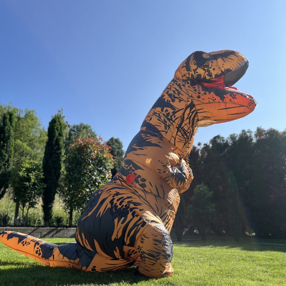 Kostüm "Dino"