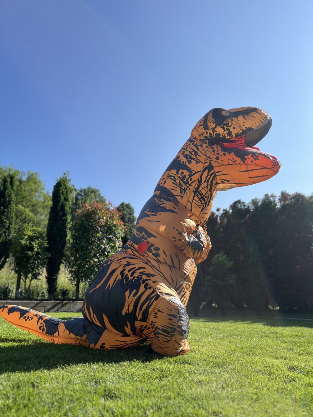 Kostüm "Dino"